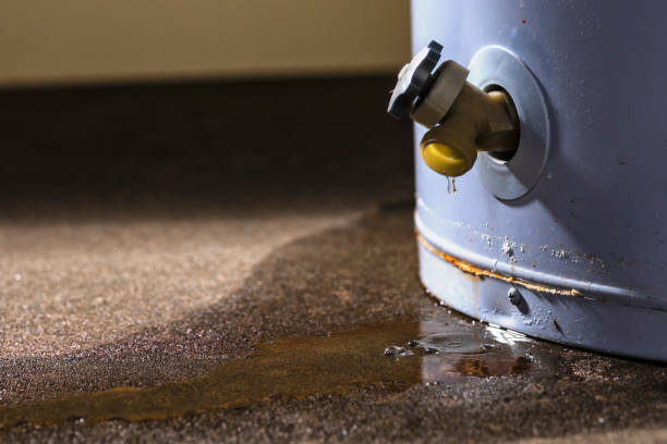 Best Flooded house restoration  in Springville, AL