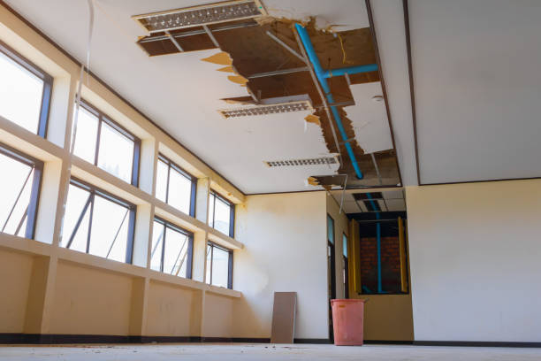 Best Water damage cleanup near me  in Springville, AL
