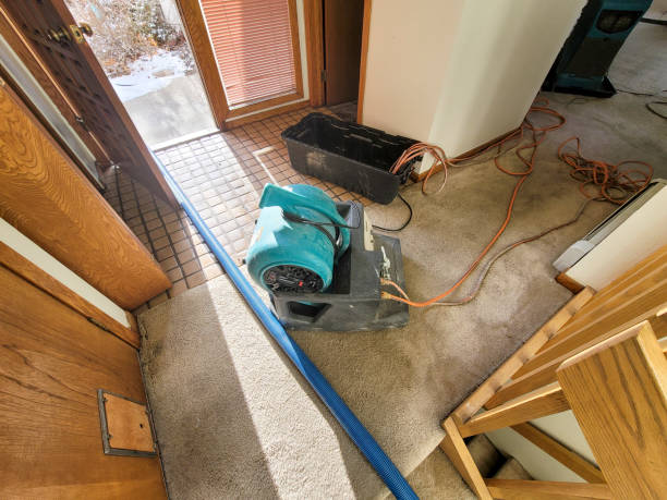 Best Flood damage cleanup  in Springville, AL