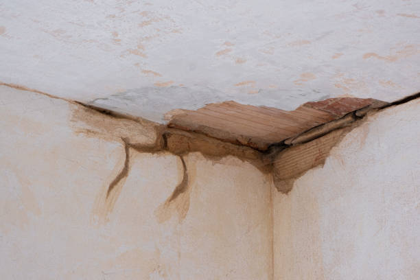 Best Flood restoration services  in Springville, AL
