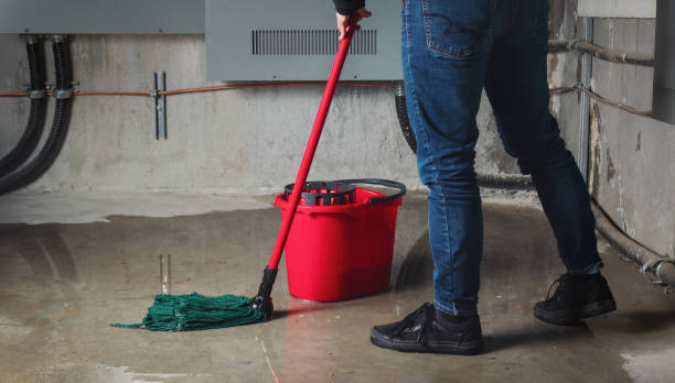 Best Flood restoration services  in Springville, AL