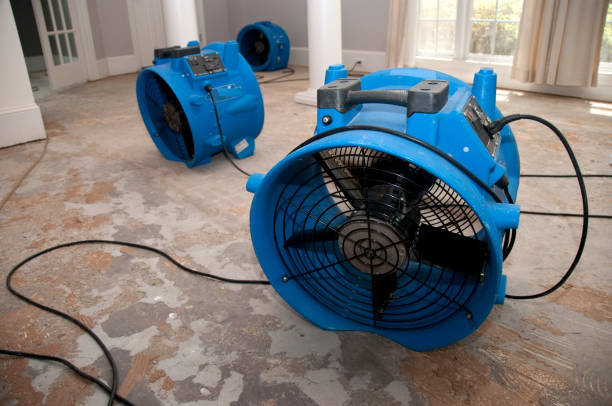 Best Water damage restoration services  in Springville, AL