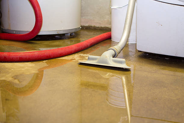 Local water damage restoration in AL