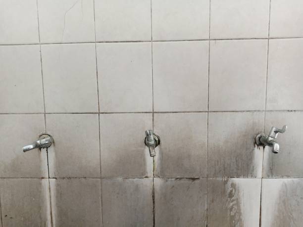 Best Water damage restoration specialists  in Springville, AL