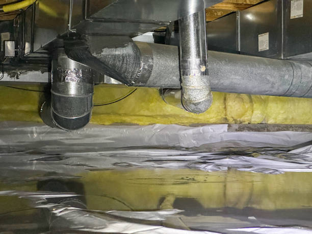 Best Commercial water damage restoration  in Springville, AL