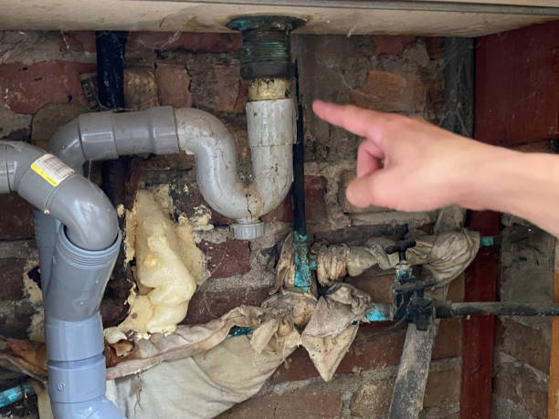 Best Mold removal after water damage  in Springville, AL