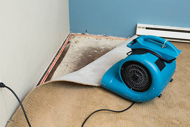 Best 24/7 water damage repair  in Springville, AL